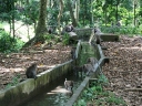 ubud (08)